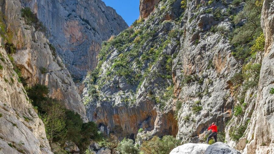 From Orosei or Dorgali: Gorropu Canyon Guided Hike - Key points to know before booking