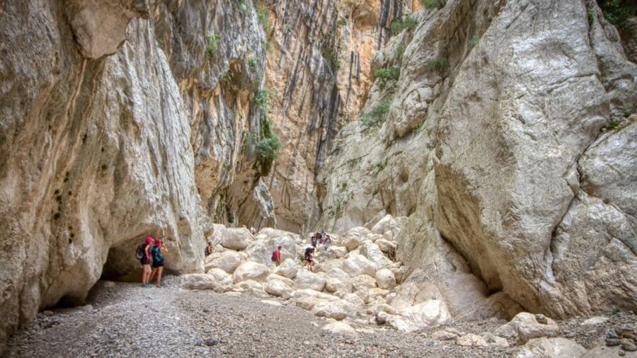 From Orosei or Dorgali: Gorropu Canyon Guided Hike - Plants, animals, and the quiet work of looking