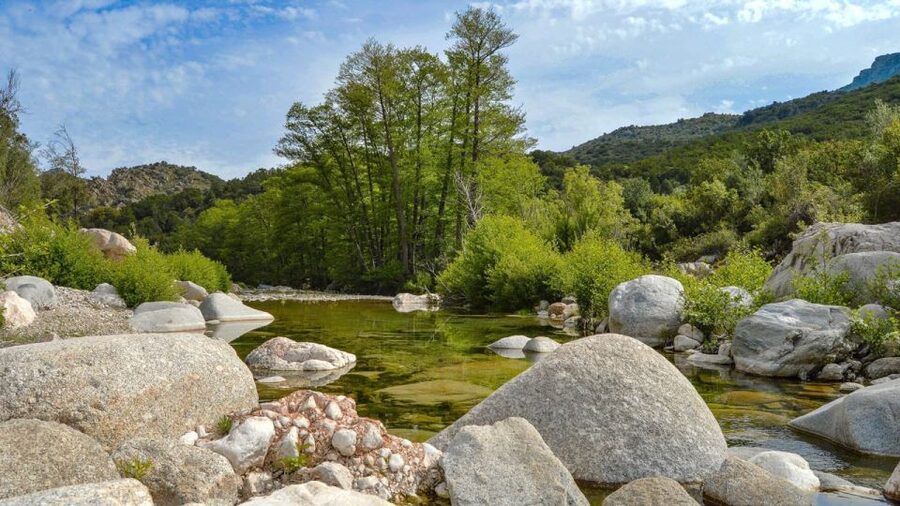 From Orosei or Dorgali: Gorropu Canyon Guided Hike - What Sergio adds to the experience