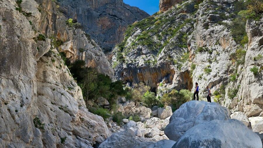 From Orosei or Dorgali: Gorropu Canyon Guided Hike - How much value do you get for $77?