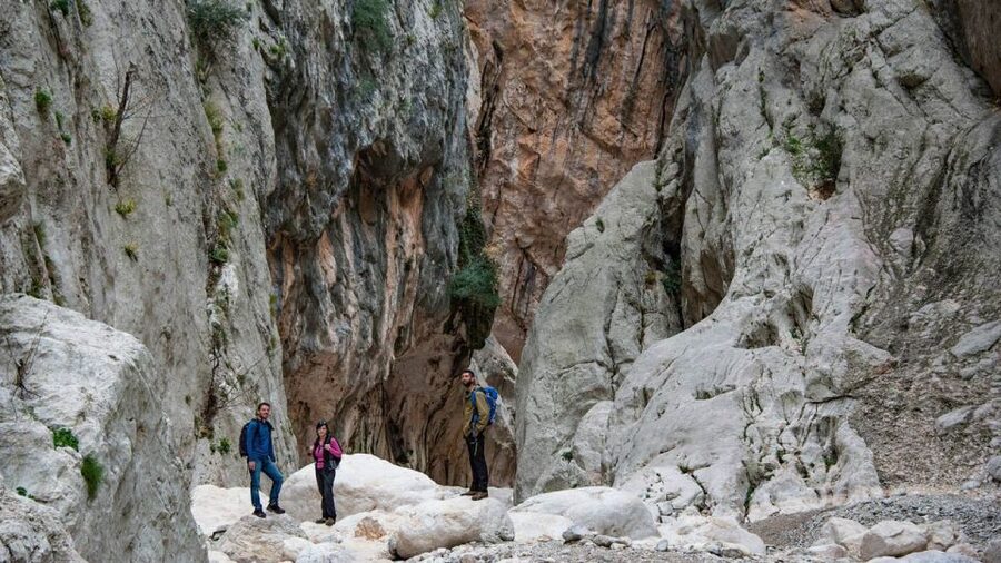 From Orosei or Dorgali: Gorropu Canyon Guided Hike - Who should book this hike?
