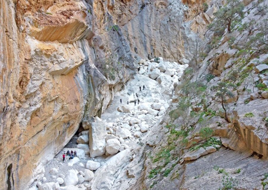 From Orosei or Dorgali: Trek to Gorropu with Panoramic Views - Who should book, and who should skip it