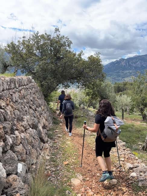 From Palma: Sierra de Tramuntana Hiking with small Picnic - Why the Sierra de Tramuntana deserves a morning