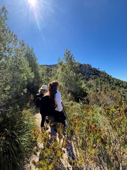 From Palma: Sierra de Tramuntana Hiking with small Picnic - Daniela’s guiding style is a major part of the value