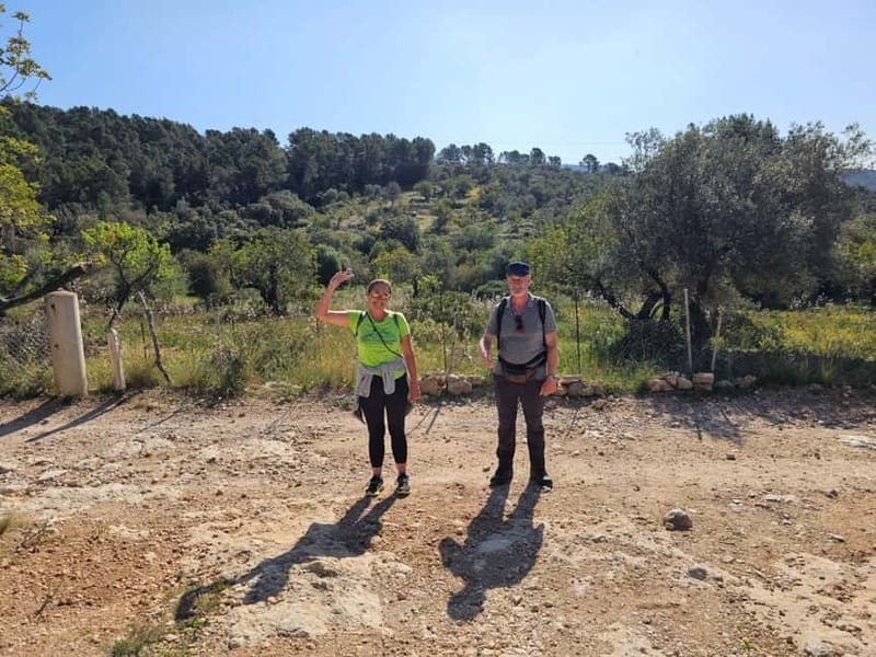 From Palma: Sierra de Tramuntana Hiking with small Picnic - Who should book this four-hour outing
