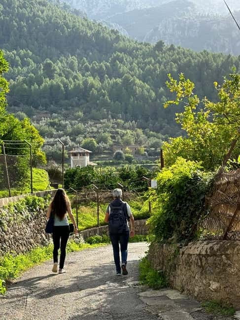 From Palma: Sierra de Tramuntana Hiking with small Picnic - A flexible GR221 walk, not a one-size-fits-all hike