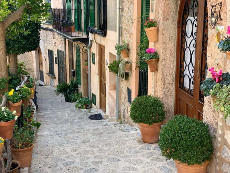 From Palma: Valldemossa Tour and Mountain Viewpoint Hike - Should you book it?
