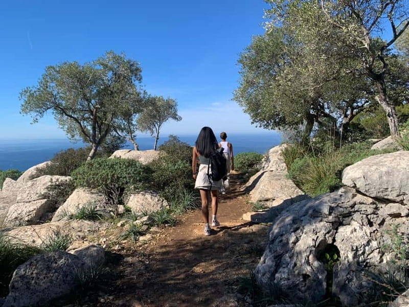 From Palma: Valldemossa Tour and Mountain Viewpoint Hike - Four viewpoints and an easy mountain walk