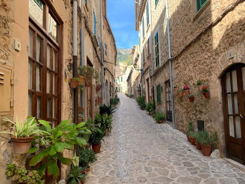 From Palma: Valldemossa Tour and Mountain Viewpoint Hike - Daniela’s guiding style and the value of a tiny group