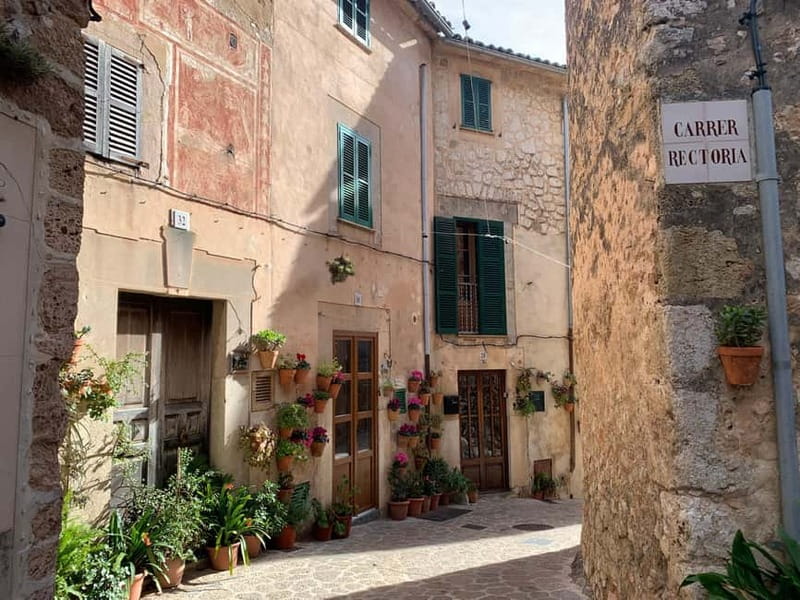 From Palma: Valldemossa Tour and Mountain Viewpoint Hike - Exploring Valldemossa after the trail