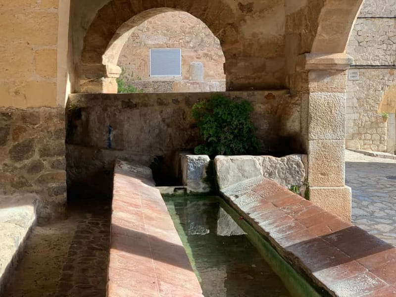 From Palma: Valldemossa Tour and Mountain Viewpoint Hike - Who should book this Valldemossa tour