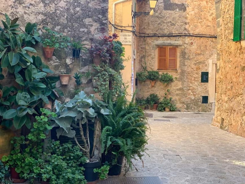 From Palma: Valldemossa Tour and Mountain Viewpoint Hike - Leaving Palma for Mallorca’s mountain town