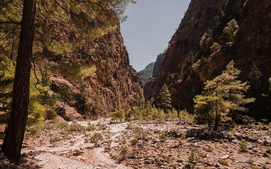 From Panormo or Lavris: Samaria Gorge Hike with Guide - Guide support and group expectations