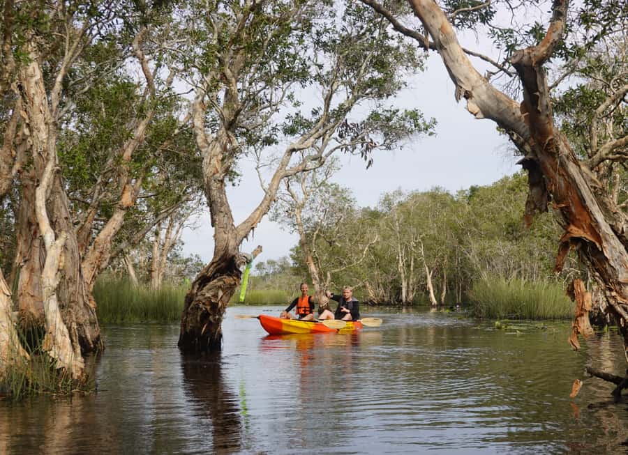 From Pattaya: Rayong Adventure Hike and Kayak Day Trip - Thung Prong Thong and Rayong’s mangroves