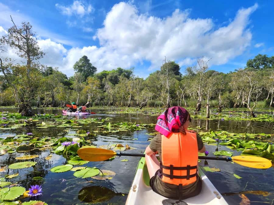 From Pattaya: Rayong Adventure Hike and Kayak Day Trip - Kayaking at Rayong Botanical Garden