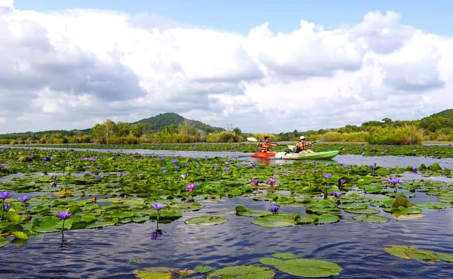 From Pattaya: Rayong Adventure Hike and Kayak Day Trip - Who should book this active Rayong escape?