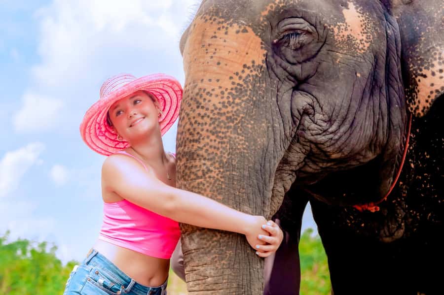 From Phuket: Ethical Elephant Interactive Trek and Tour - Walking into the jungle with free-roaming elephants