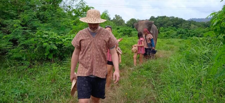 From Phuket: Ethical Elephant Interactive Trek and Tour - Feeding supplements and learning about daily care