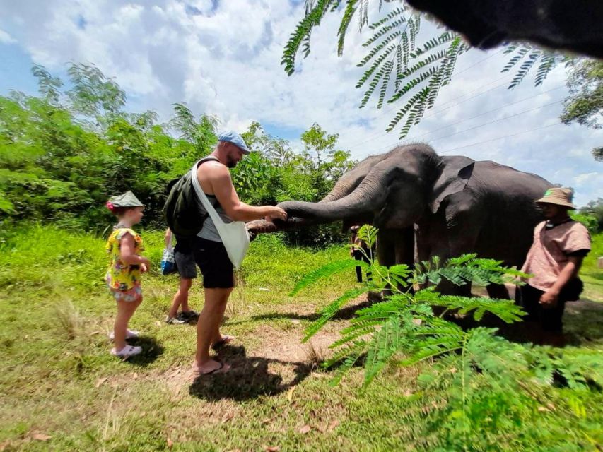 From Phuket: Ethical Elephant Interactive Trek and Tour - Bathing and swimming in the river