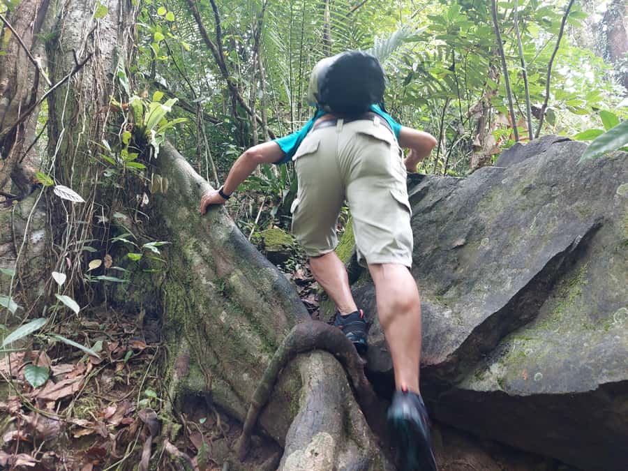 From Phuket: Guided Rainforest Hike with Lunch - Why this rainforest trip feels different from Phuket’s beach tours