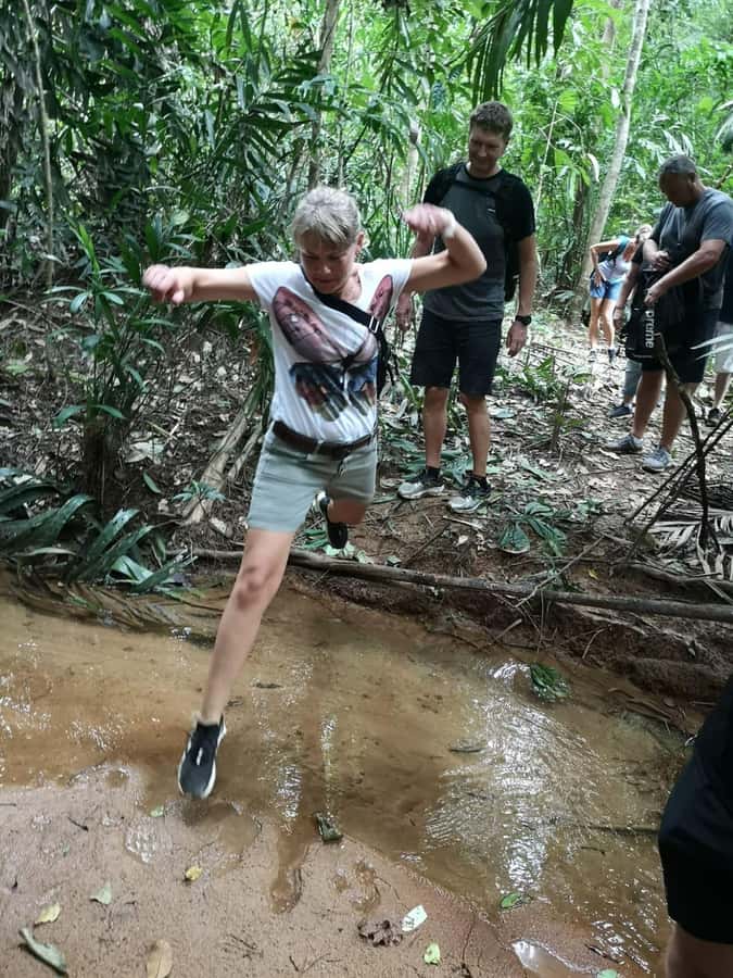 From Phuket: Guided Rainforest Hike with Lunch - Swimming at Bang Pae, Phuket’s biggest waterfall