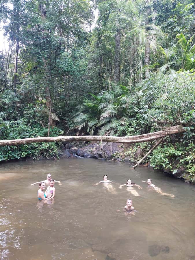 From Phuket: Guided Rainforest Hike with Lunch - Thai lunch at a local restaurant