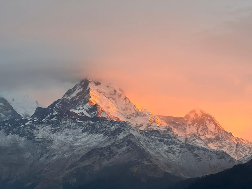 From Pokhara: 2 Day 1 Night Ulleri,Ghorepani Poon Hill Trek - Key points to know before you book