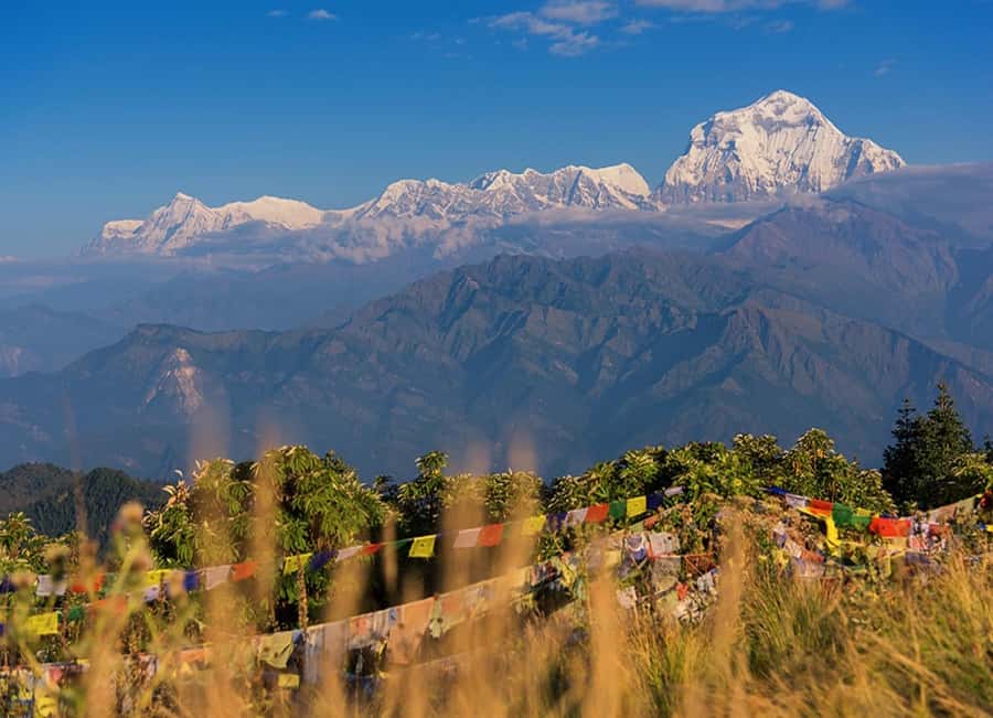From Pokhara: 3-Day Ghorepani Poon Hill Trek with Guide - Accommodation, meals, porters, and luggage