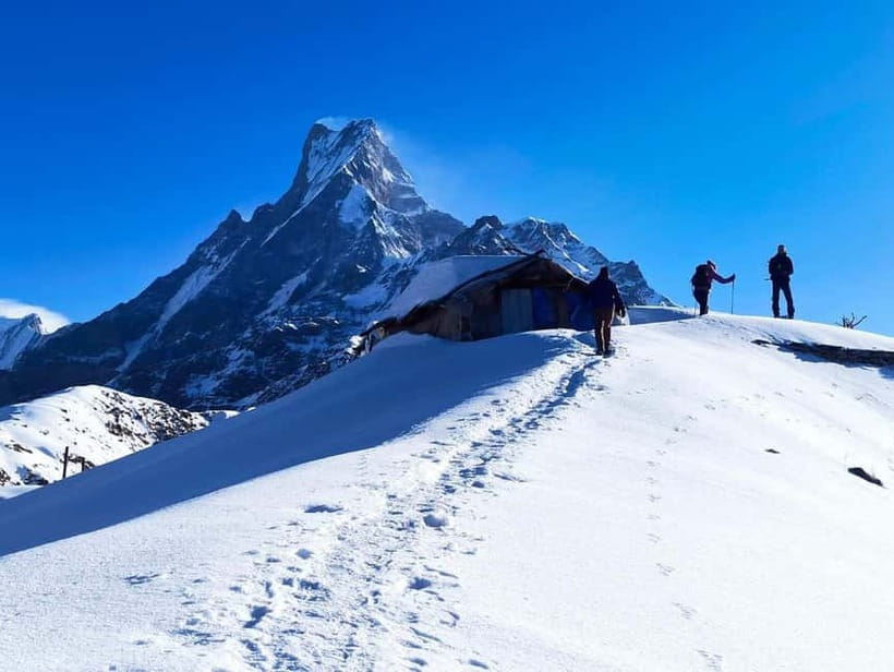 From Pokhara: 4-Day Mardi Himal Base Camp Trek - Day 2: The long climb from Forest Camp to High Camp