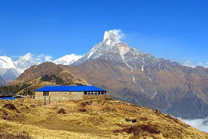From Pokhara: 5-Day Mardi Himal Base Camp Trek - Day three: The climb to Mardi Himal High Camp
