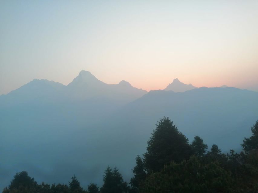 From Pokhara: Budget 2 Night 3 days Poon hill trek - Day two: Forest ridges from Tadapani to Ghorepani