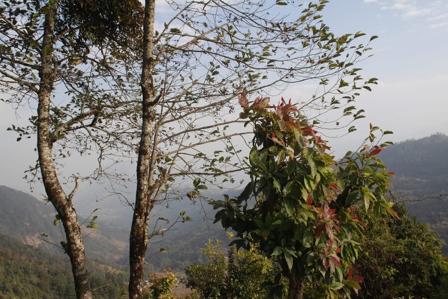 From Pokhara: Day Hiking Australian Camp & Dhampus - The best time to go