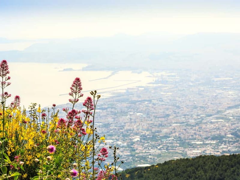 From Pompeii: Mount Vesuvius Hike & Tour by Bus - Key points to know before you go