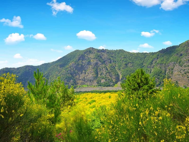 From Pompeii: Mount Vesuvius Hike & Tour by Bus - Why Vesuvius is worth your morning