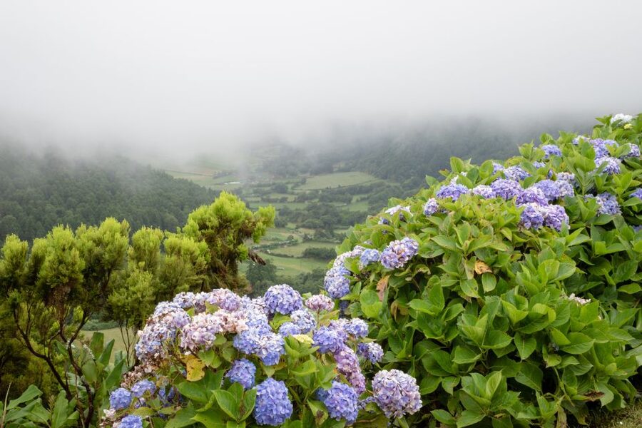 From Ponta Delgada: Vista do Rei to Sete Cidades Guided Trek - Caldeira do Alferes and the Atlantic side