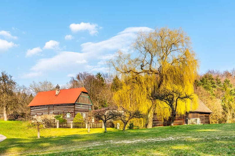 From Prague: Hike the Hidden Valleys of Bohemian Paradise - Small group atmosphere and guiding style