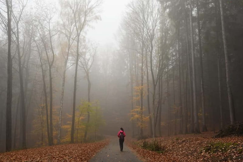 From Prague: Hike the Hidden Valleys of Bohemian Paradise - Is $151 a fair price?
