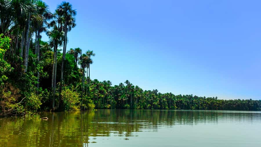 From Puerto Maldonado | Jungle hike + Sandoval Lake | - From Puerto Maldonado to the Tambopata gateway