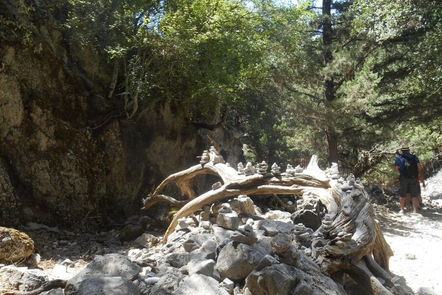 From Rethymno/Chania: Imbros Gorge Hike - Why Imbros Gorge makes a good Samaria alternative