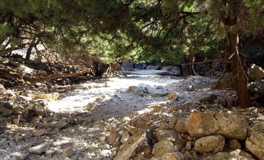 From Rethymno/Chania: Imbros Gorge Hike - Breakfast before the trail