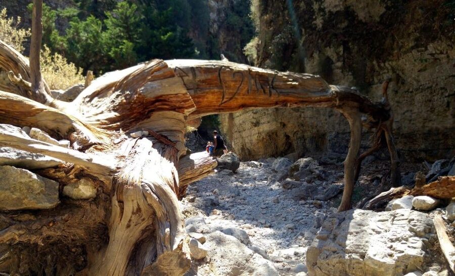From Rethymno/Chania: Imbros Gorge Hike - Swimming and lunch by the Libyan Sea