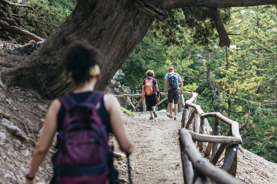 From Rethymno: Samaria Gorge Full-Day Trek, Pickup & Guide - The ferry to Sfakia and the ride home