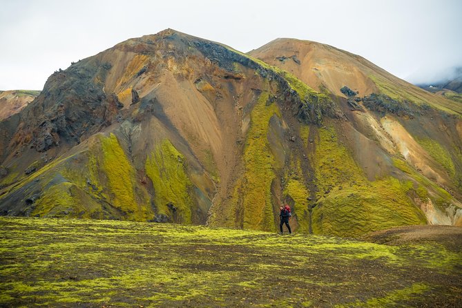 From Reykjavík: Landmannalaugar Hiking Day Tour - Group size, guides, and the pace of the day