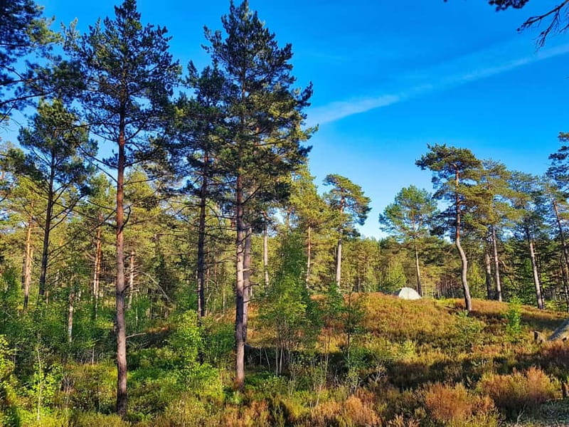 From Riga: Four Natural Ecosystems In One Hike - The Gauja River delta and its seasonal limit