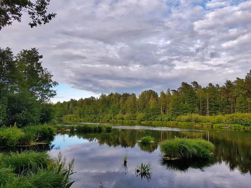 From Riga: Four Natural Ecosystems In One Hike - What the guide adds to the walk