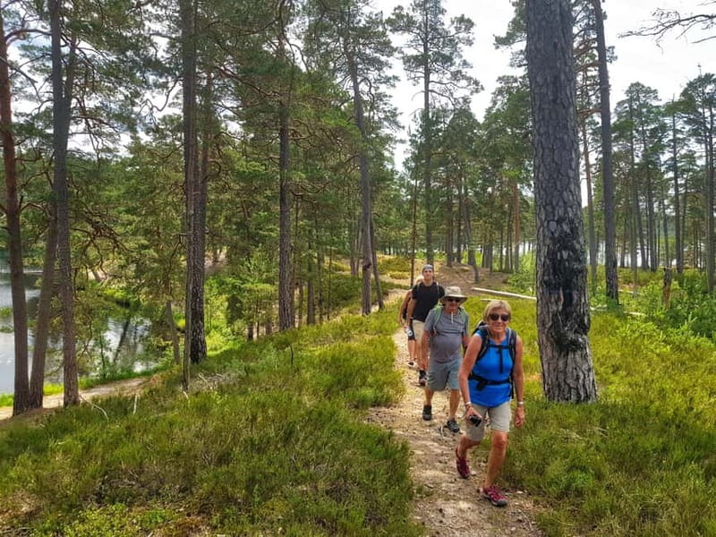 From Riga: Four Natural Ecosystems In One Hike - Is $147 a fair price?