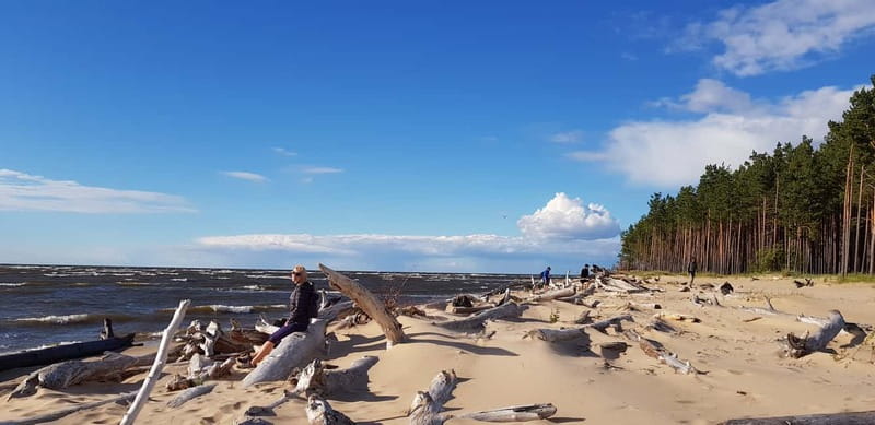 From Riga: Four Natural Ecosystems In One Hike - Starting beneath the coastal pines