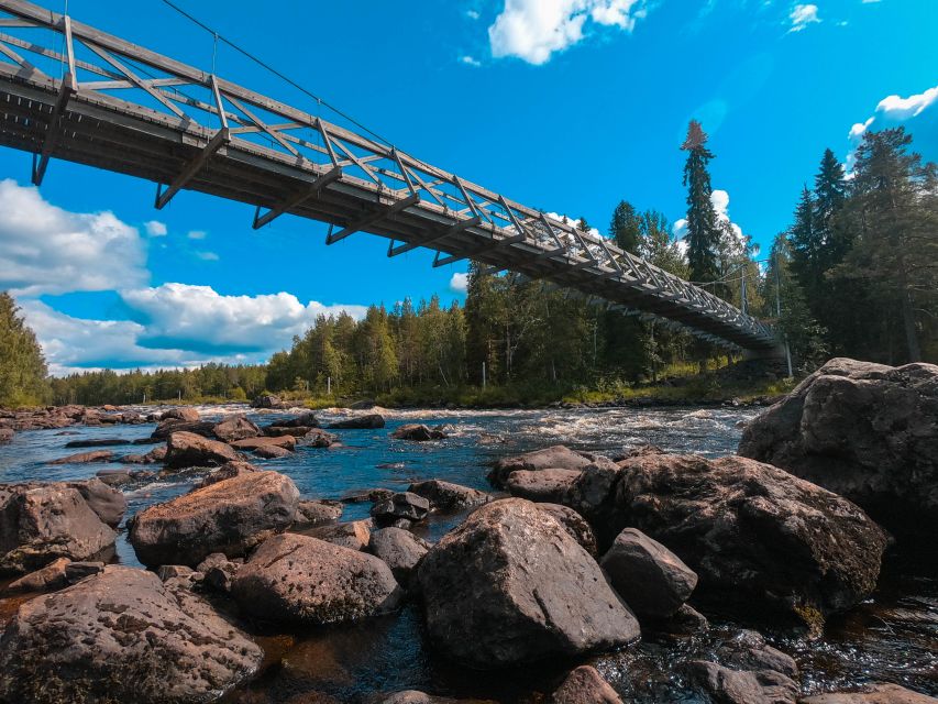 From Rovaniemi: Vikaköngäs Forest Hiking Tour - Key points to know before you book