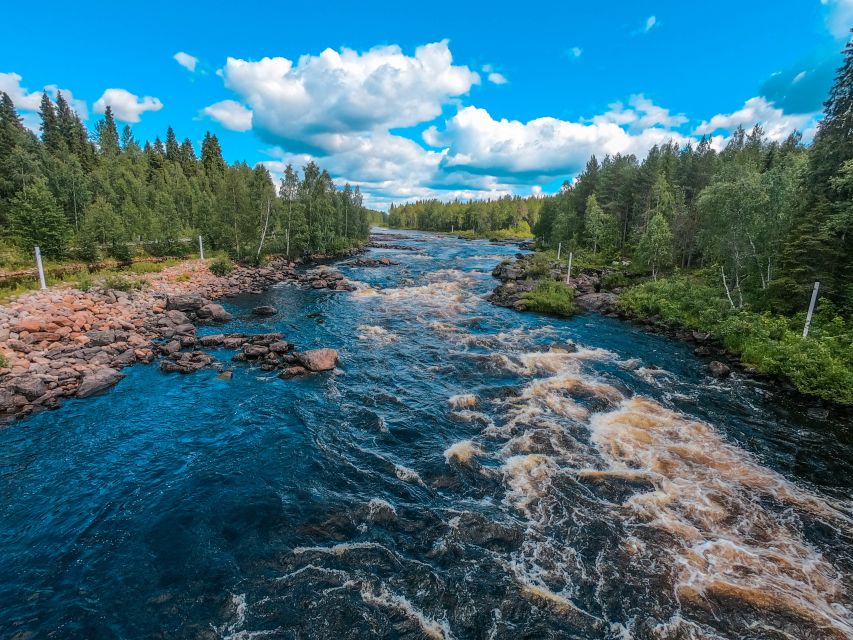 From Rovaniemi: Vikaköngäs Forest Hiking Tour - Why Vikaköngäs works as a short escape from Rovaniemi