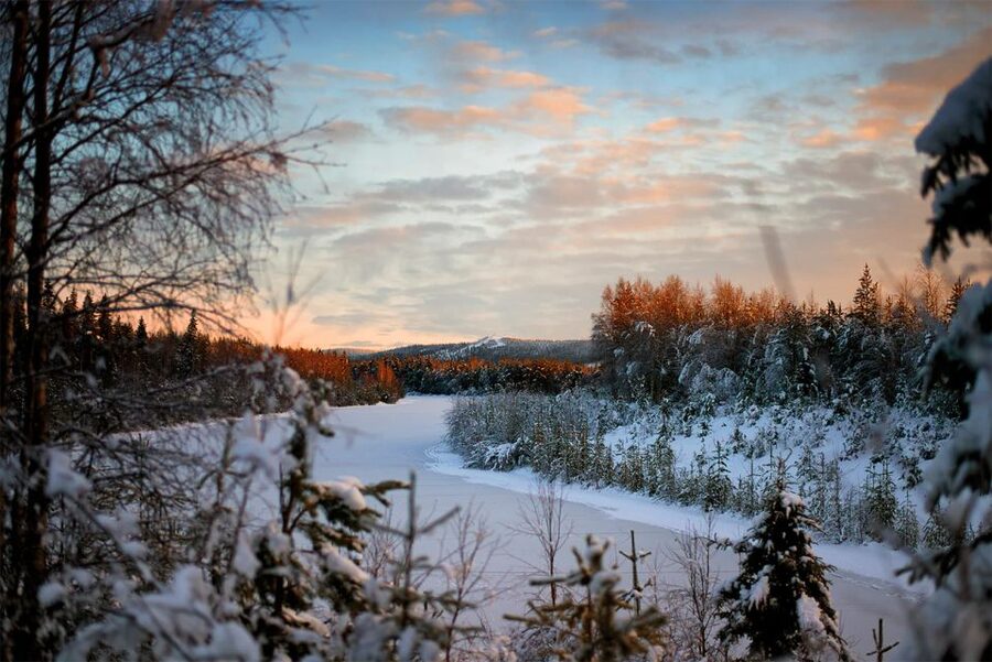 From Rovaniemi: Vikaköngäs Forest Hiking Tour - What $123 buys you